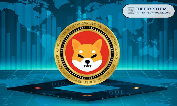 Shiba Inu负责人指出，SHIB的竞争对手是Cardano和XRP，而不是Memecoins