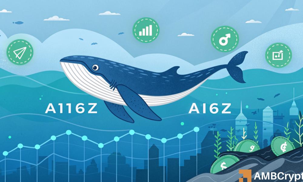 Evaluating the Impact of .8 Million Whale Behavior on Cryptocurrency