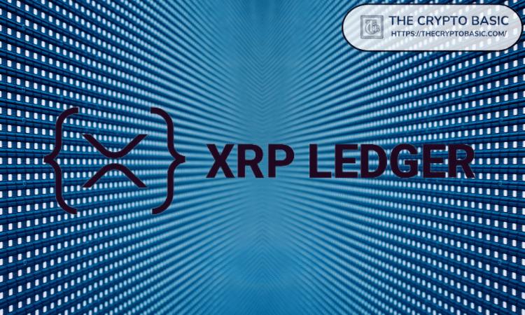 XRP Ledger在2024年处理了B交易，但Omni CTO预计收养银行的交易量将增长1000倍