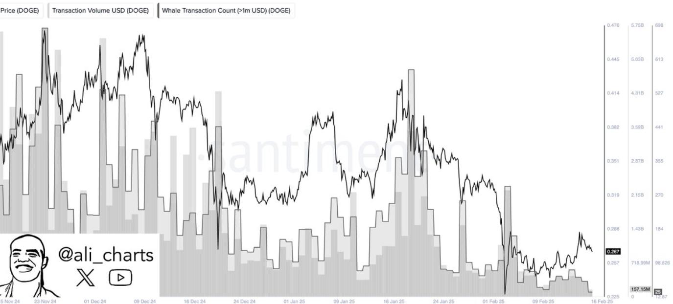 Dogecoin鲸鱼大规模抛售，导致交易量骤减88%