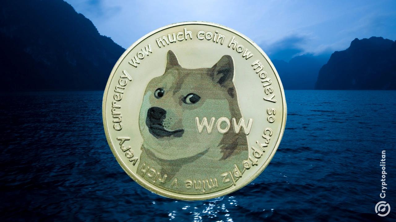 Dogecoin鲸鱼大规模抛售，导致交易量骤减88%